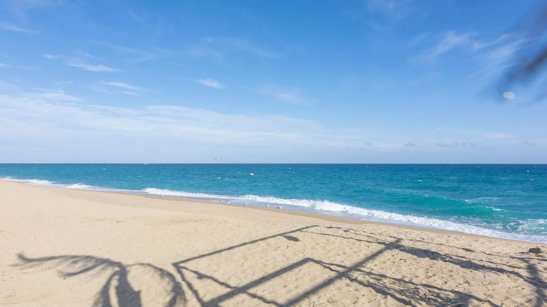 شقة Homeholidaysrentals Balmes - Costa Barcelona كاليليا إسبانيا